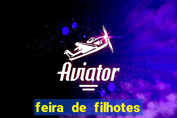 feira de filhotes porto alegre